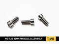 M12 Parallel Allen Bolt 1.25 30mm image 0
